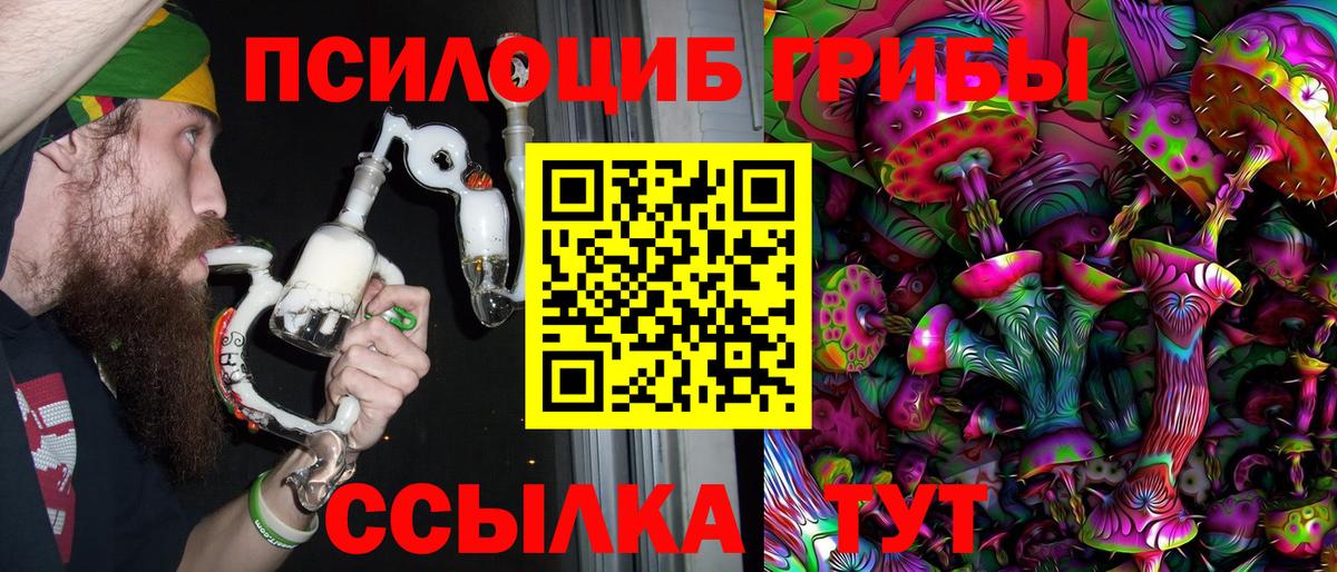 Псилоцибиновые грибы Psilocybine cubensis Сосновый Бор
