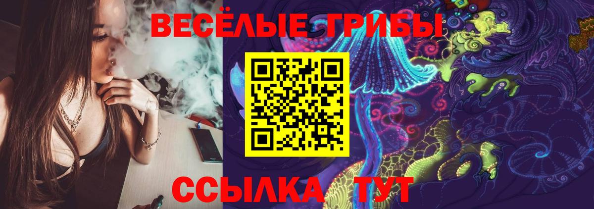 купить закладку  Галлюциногенные грибы мухоморы  Вход с VPN  Сосновый Бор 